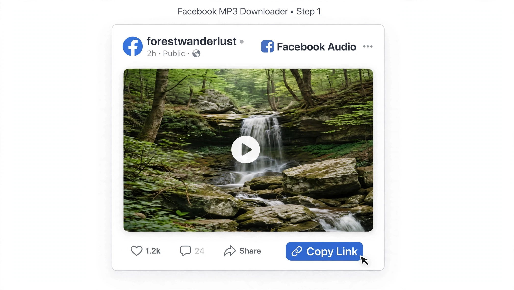 Find a Facebook video for MP3 download
